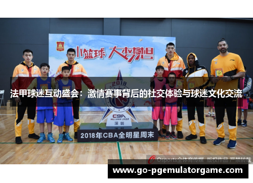 法甲球迷互动盛会：激情赛事背后的社交体验与球迷文化交流