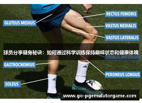 球员分享健身秘诀：如何通过科学训练保持巅峰状态和健康体魄