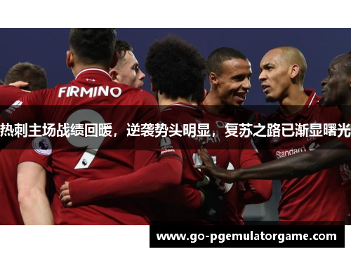 热刺主场战绩回暖，逆袭势头明显，复苏之路已渐显曙光