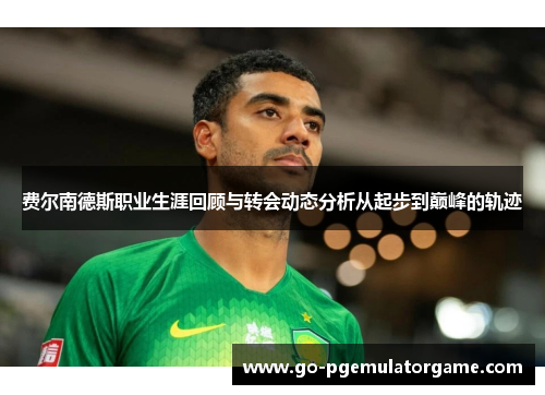 费尔南德斯职业生涯回顾与转会动态分析从起步到巅峰的轨迹 费尔南德斯职业生涯回顾与转会动态分析从起步到巅峰的轨迹