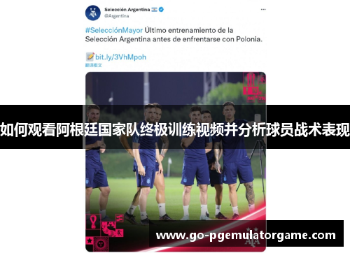 如何观看阿根廷国家队终极训练视频并分析球员战术表现