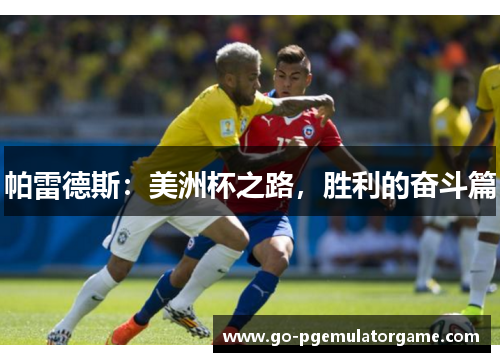 帕雷德斯：美洲杯之路，胜利的奋斗篇