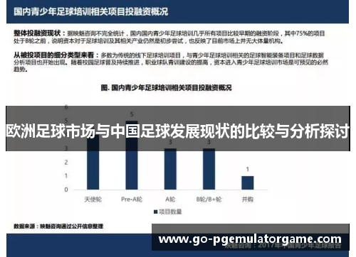 欧洲足球市场与中国足球发展现状的比较与分析探讨 欧洲足球市场与中国足球发展现状的比较与分析探讨