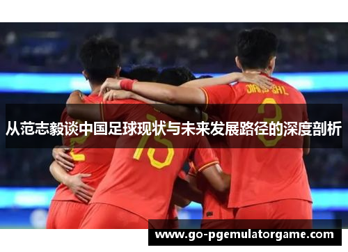 从范志毅谈中国足球现状与未来发展路径的深度剖析