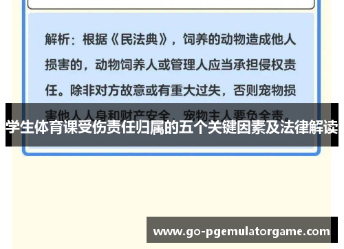 学生体育课受伤责任归属的五个关键因素及法律解读