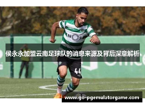 侯永永加盟云南足球队的消息来源及背后深意解析