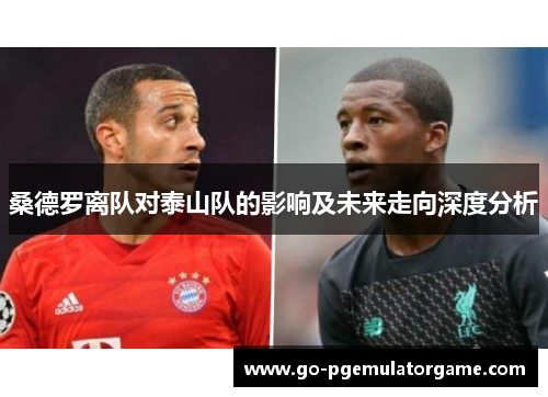 桑德罗离队对泰山队的影响及未来走向深度分析