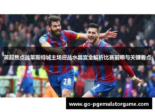 英超焦点战莱斯特城主场迎战水晶宫全解析比赛前瞻与关键看点 英超焦点战莱斯特城主场迎战水晶宫全解析比赛前瞻与关键看点