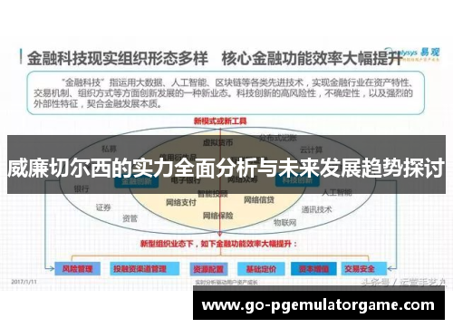 威廉切尔西的实力全面分析与未来发展趋势探讨