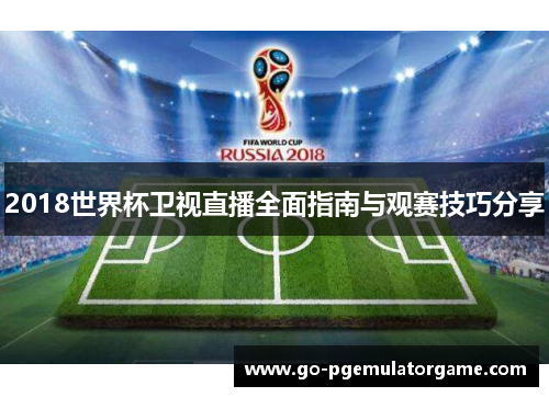 2018世界杯卫视直播全面指南与观赛技巧分享