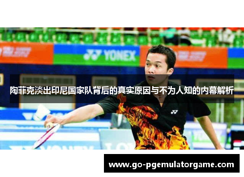 陶菲克淡出印尼国家队背后的真实原因与不为人知的内幕解析 陶菲克淡出印尼国家队背后的真实原因与不为人知的内幕解析