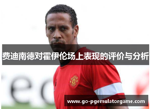 费迪南德对霍伊伦场上表现的评价与分析