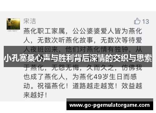 小孔塞桑心声与胜利背后深情的交织与思索