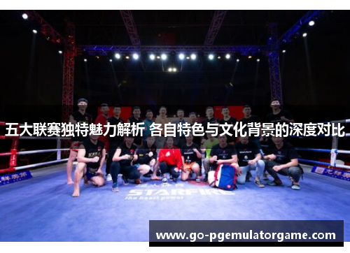 五大联赛独特魅力解析 各自特色与文化背景的深度对比
