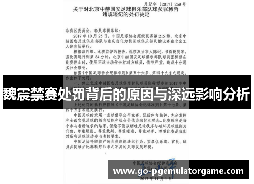魏震禁赛处罚背后的原因与深远影响分析 魏震禁赛处罚背后的原因与深远影响分析
