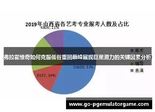 弗拉霍维奇如何克服低谷重回巅峰展现巨星潜力的关键因素分析 弗拉霍维奇如何克服低谷重回巅峰展现巨星潜力的关键因素分析